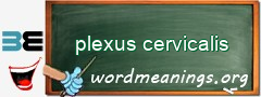 WordMeaning blackboard for plexus cervicalis